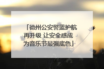 德州公安警蓝护航再升级 让安全感成为音乐节最强底色